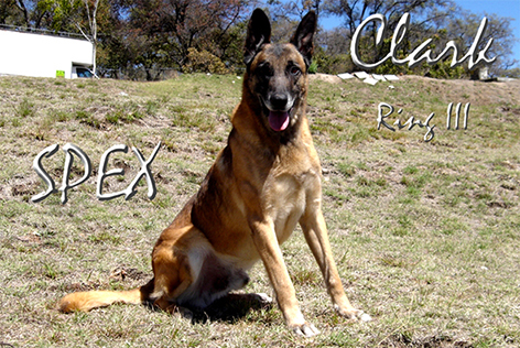 Clarck